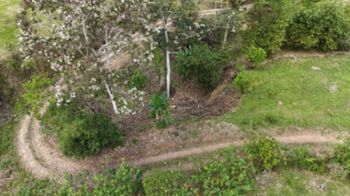 🏡 Propiedad con casas y cabaña en Tuis de Turrialba, 7.636 m² – USD 390K en Tuis, Turrialba, Cartago — $390,000 - Foto 4 de 46