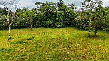 Lotes con excelente vista al Volcán y Bosque con exuberante fauna  en La Fortuna, San Carlos, Alajuela — 63 900 000 ₡ - Foto 5 de 5