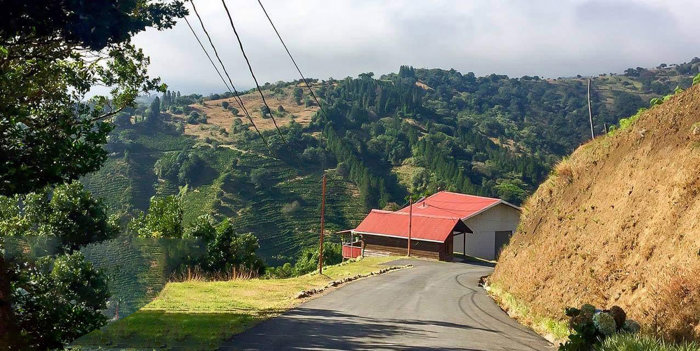 High altitude coffee farm for sale Grecia en Grecia, Alajuela — $2,000,000 - Foto 3 de 17