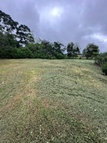 Lote 1500m ubicado en zona céntrica de Aguas Zarcas en Aguas Zarcas, San Carlos, Alajuela — ₡ 40 000