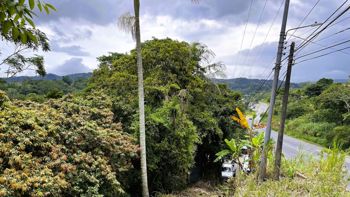 SE VENDE FINCA EN SAN MIGUEL, NARANJO en San Miguel, Naranjo, Alajuela — $890,000 - Foto 5 de 17