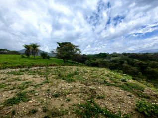 EN VENTA Finca de 8.3 Ha de uso mixto con vista al Tárcoles in Hacienda Vieja, Orotina, Alajuela — $995,000 - Photo 5 of 18