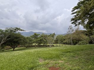 Propiedad para desarrollo | Santiago de San Ramón in Santiago, San Ramón, Alajuela — 280 000 000 ₡ - Photo 5 of 18