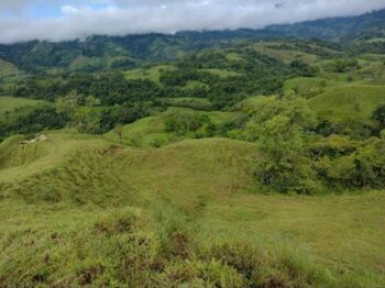 ESPECTACULAR FINCA EN SAN VITO DE COTO BRUS.  en San Vito, Coto Brus, Puntarenas — 110 000 000 ₡ - Foto 5 de 10