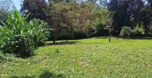 SE VENDE DE OPORTUNIDAD BELLÍSIMA PROPIEDAD EN MOIN, LIMÓN.  in Limón — ₡ 12 000 000