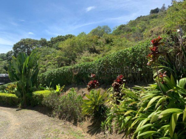 Venta terreno con contenedor habitable y árboles frutales #26-2238 GS en Aguacaliente, Cartago — $136,000