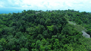 Finca de 107 Hectáreas en Sierpe, Osa in Sierpe, Osa, Puntarenas — 482 800 000 ₡ - Photo 4 of 10