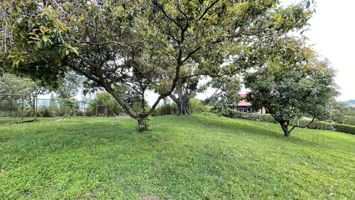 Lot for Sale in Senderos del Río, Grecia, Alajuela en San Roque, Grecia, Alajuela — ₡ 51 000 000 - Foto 2 de 9