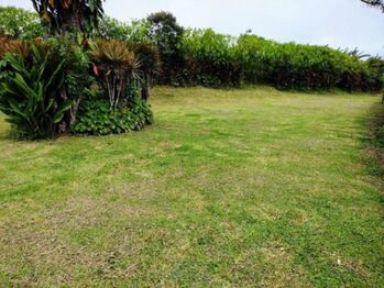 MLS-24-1503 VENTA LOTE TILARAN GUANACASTE in Tilarán, Guanacaste — $125,000 - Photo 5 of 6