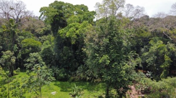 Finca en Tortuguero en Colorado, Pococí, Limón — $315,000