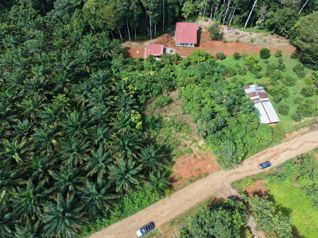 SE VENDE TERRENO LISTO PARA CONSTRUIR EN LAS BRISAS DE CAJON en Cajón, Pérez Zeledón, San José — 15 000 000 ₡ - Foto 2 de 7