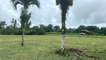 Venta de Lote Residencial y Agricola, Limon, Pococi, Guapiles