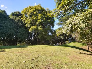 SE VENDE LOTE EN SAN MATEO CALLE LA LIBERTAD in Desmonte, San Mateo, Alajuela — 87 000 000 ₡ - Photo 5 of 24