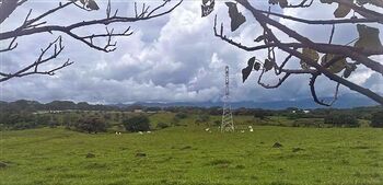 Farm For Sale Garita, Alajuela, Alajuela