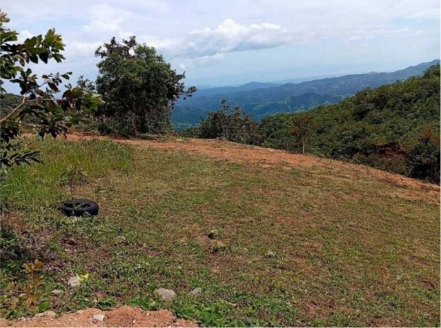 SE VENDE BELLA PROPIEDAD EN PIEDADES SUR DE SAN RAMÓN. en Piedades Sur, San Ramón, Alajuela — ₡ 17 500 000 - Foto 3 de 5