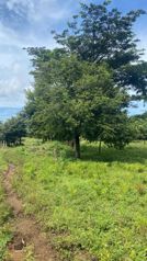 Venta de lote en Guanacaste, Santa Cruz, 27 de abril in Cuajiniquil, Santa Cruz, Guanacaste — 33 000 000 ₡ - Photo 2 of 11