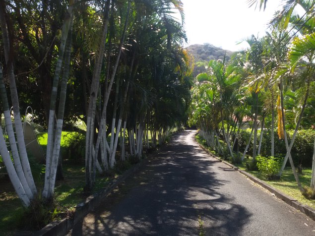 Lindisima Casa con Piscina en Santa Ana in Piedades, Santa Ana, San José — $1,000,000