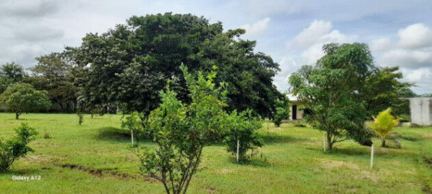 Ideal para desarrollar proyecto previa autorización de la muinicipalidad.OFC/AD en Cañas Dulces, Liberia, Guanacaste — $955,000