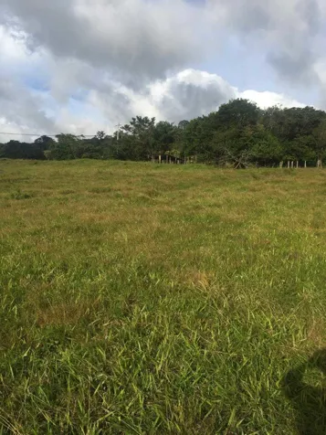 🏞️ LOTE CON GRAN POTENCIAL DE DESARROLLO📍 Tilarán, Guanacaste en Tilarán, Guanacaste — ₡ 70 000 000 - Foto 3 de 4