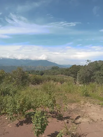 SE VENDE BELLA Y ESPECTACULAR PROPIEDAD EN BARROETA DE ATENAS. en Atenas, Alajuela — ₡ 90 000 000