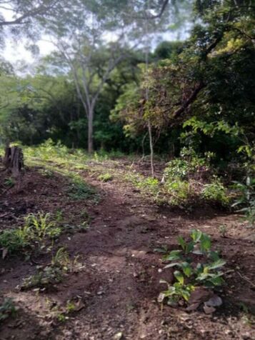 Venta de Lote en Santa Cruz de Guanacaste. RAH 25-1924 en Veintisiete De Abril, Santa Cruz, Guanacaste — ₡ 80 000 000