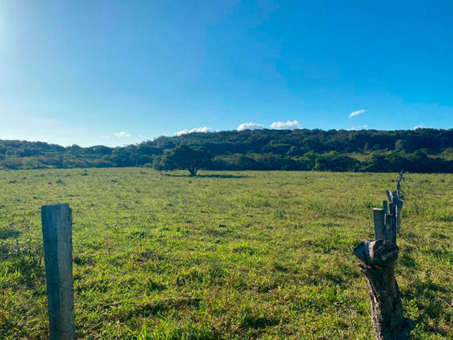 Finca, San Jorge, Bagaces Guanacaste en Mogote, Bagaces, Guanacaste — $1,500,000
