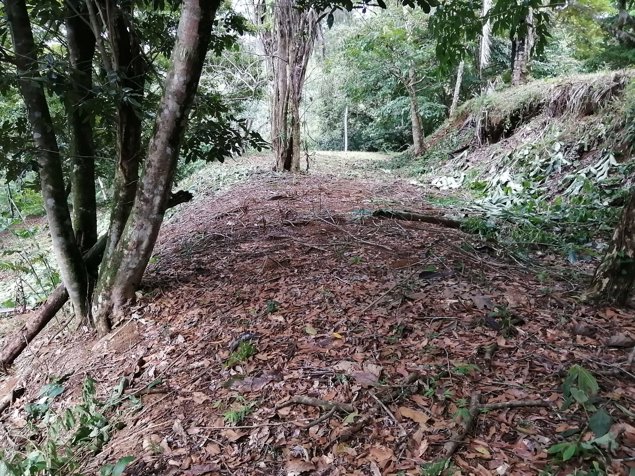 Jardines del Morete en Bahía Ballena, Osa, Puntarenas — $450,000