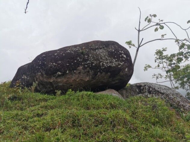 Finca agrícola  en Sabanillas, Acosta, San José — ₡ 75