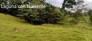 Se vende, finca, San Luis Upala -Guatuso Katira en Katira, Guatuso, Alajuela — $720,000 - Foto 4 de 29
