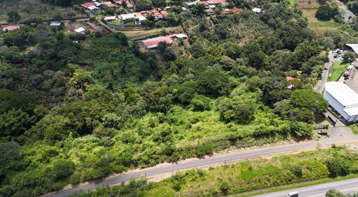 Terreno Alajuela, Naranjo en El Rosario, Naranjo, Alajuela — $700,000 - Foto 2 de 3