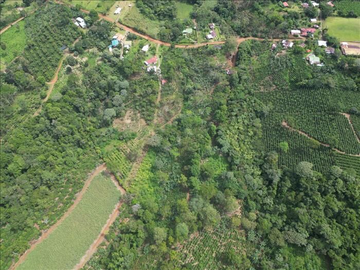 Finca 2 hectareas /land for sale 2 hectares in Cajón, Pérez Zeledón, San José — $150,000