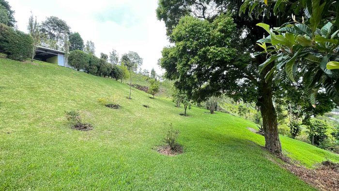 Lot For Sale In San Isidro De Grecia Costa Rica in Grecia, Alajuela — ₡ 50 000 000 - Photo 2 of 16