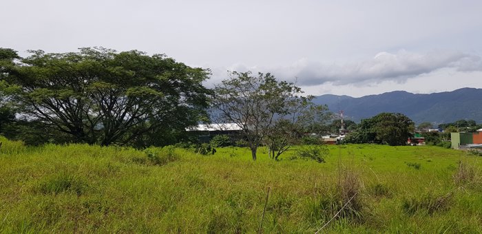 VENTA TERRENO DE DESARROLLO, ALTA DENSIDAD, ALAJUELA, SAN RAFAEL en San Rafael, Alajuela — $6,300,000 - Foto 3 de 10