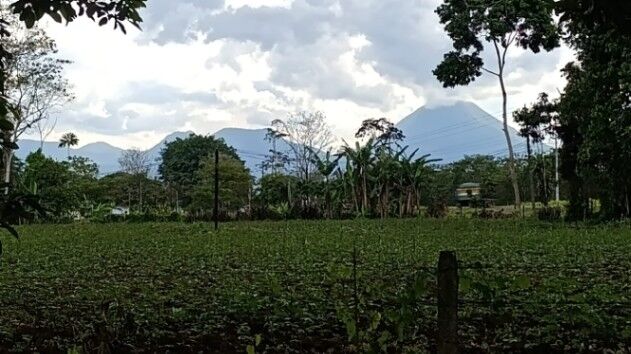 ESPECTACULAR PROPIEDAD EN SAN JORGE DE LA FORTUNA DE SAN CARLOS.  en La Fortuna, San Carlos, Alajuela — ₡ 32 500 000
