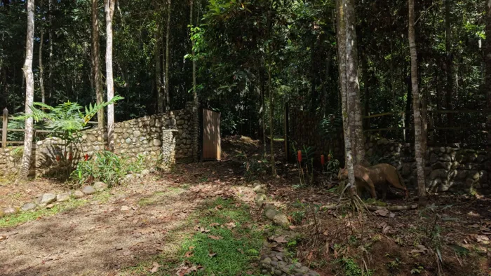 SE VENDE CASA EN SANTUARIO NATURAL CON RESERVA PRIVADA Y CASA DE HUESPEDES EN PEREZ ZELEDON en San Isidro De El General, Pérez Zeledón, San José — $650,000 - Foto 2 de 32