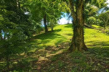 Propiedad para construir Nativa Resort - Photo 2 of 3
