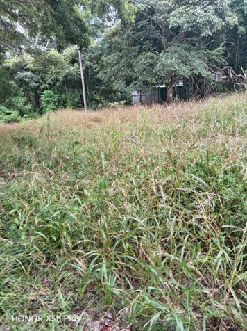 Un viaje por la naturaleza... Propiedades El Rodeonatu in Colón, Mora, San José — $159,000