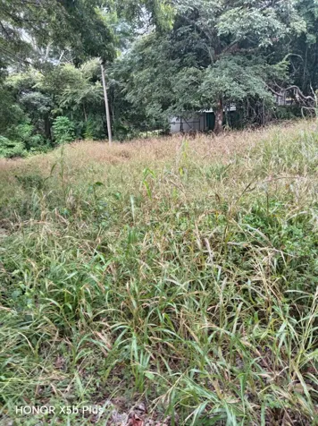 Un viaje por la naturaleza... Propiedades El Rodeonatu en Colón, Mora, San José — $159,000
