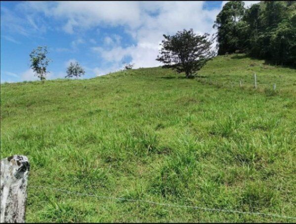 Increíble Finca Ganadera en Cutris de San Carlos, Alajuela,Costa Rica. en Cutris, San Carlos, Alajuela — ₡ 225 000 000