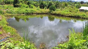 FINCA AGRÍCOLA EN VENTA CAJÓN, PÉREZ ZELEDÓN, COSTA RICA (42,841 m²)  in Cajón, Pérez Zeledón, San José — $299,999 - Photo 5 of 25