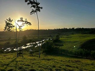 Venta de Finca ganadera en Moravia de Cutris en San Carlos en Cutris, San Carlos, Alajuela — $3,200,000 - Foto 3 de 21