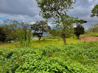Lote #9 San Antonio, Escazú in San Antonio, Escazú, San José — $250,000 - Photo 5 of 10