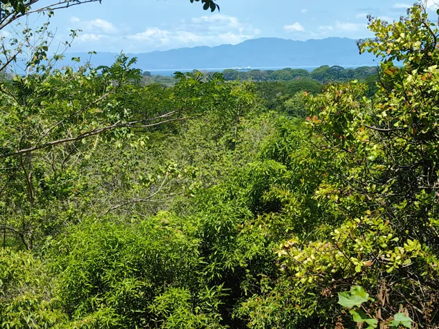 Lote con vista al Golfo de Nicoya | Esparza | Puntarenas en Espíritu Santo, Esparza, Puntarenas — $49,284 - Foto 3 de 21