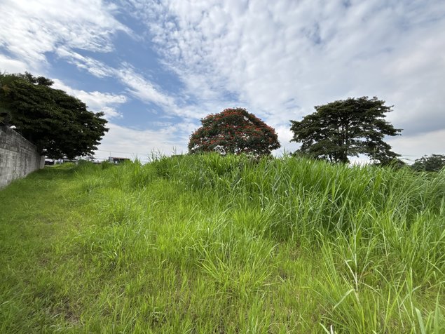 VENTA DE LOTE 3.952 m², SAN RAFAEL ARRIBA, DESAMPARADOS en San Rafael Arriba, Desamparados, San José — $1,976,000 - Foto 3 de 5