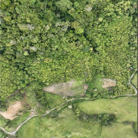 VENTA DE LOTE DE 12 HECTÁREAS, TUCURRIQUE, CARTAGO en Tucurrique, Jiménez, Cartago — $150,000 - Foto 2 de 5