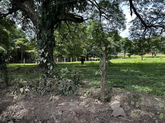 VENTA DE LOTE, ALAJUELA, ALAJUELA, TURRUCARES en Turrúcares, Alajuela — $325,000