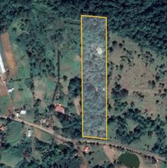 Finca en venta en La Tigra, San Carlos, con riachuelo en La Tigra, San Carlos, Alajuela — $89,000 - Foto 3 de 26