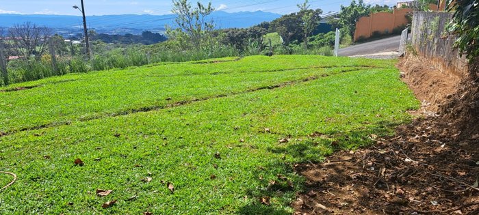 Lot for Sale in San Isidro de Grecia – Stunning Views in San Isidro, Grecia, Alajuela — ₡ 22 500 000 - Photo 2 of 6