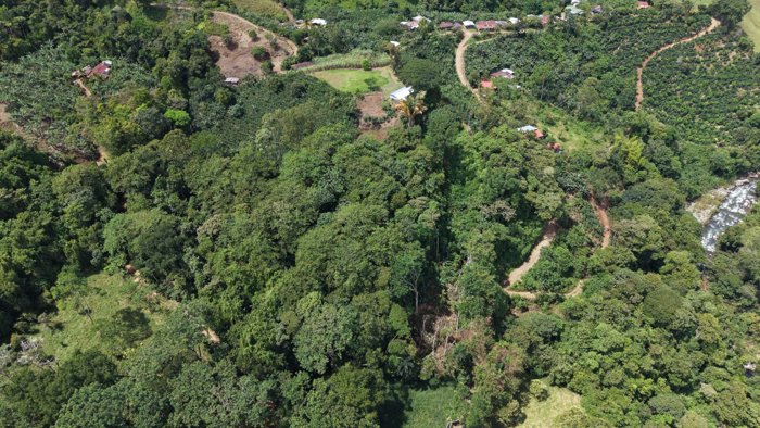 TERRENO LISTO PARA CONSTRUIR CON BOSQUE Y ARROYO CERCA DEL CHIRRIPO en Rivas, Pérez Zeledón, San José — $250,000