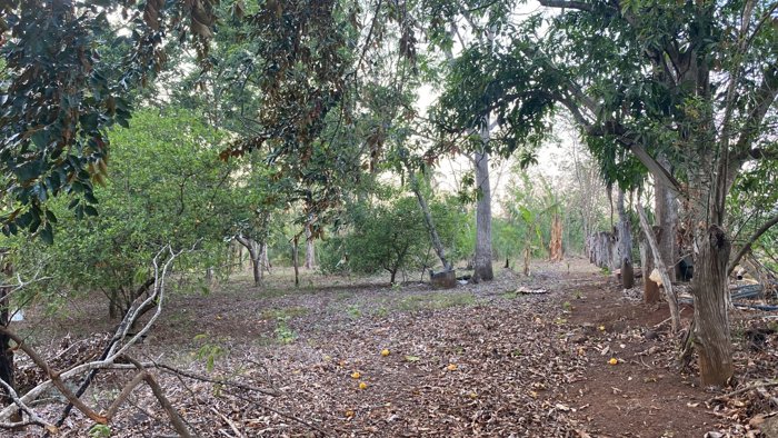 VENTA DE LOTE, ALAJUELA, OROTINA, COYOLAR en Orotina, Alajuela — ₡ 185 000 000